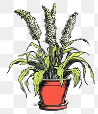 PNG Flowe plant illustration pot decorative.