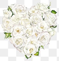 PNG A heart-shaped arrangement of white rose flower illustration pattern.