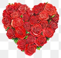 PNG A heart-shaped arrangement of red rose roses illustration flower.