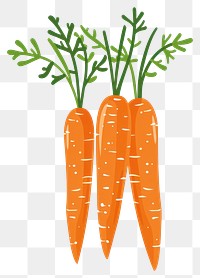 PNG A group of carrots illustration vegetables produce.