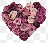 PNG A heart-shaped arrangement of fresh pink roses valentine's flower day.