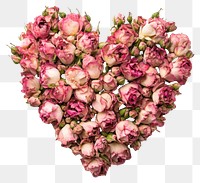 PNG A heart-shaped arrangement of fresh pink roses flower decoration romantic.