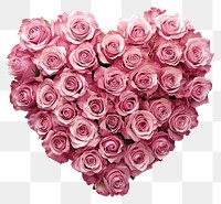 PNG A heart-shaped arrangement of fresh pink roses flower decoration romantic.