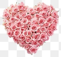 PNG A heart-shaped arrangement of fresh pink roses valentine's flowers day.