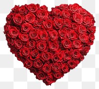 PNG A heart-shaped arrangement of fresh red roses valentine's flowers decoration.