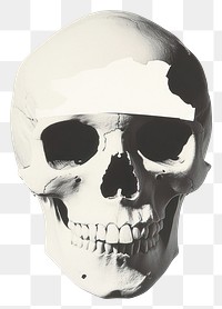 PNG Skull photography illustration anatomical.