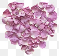 PNG Heart petals rose shape.