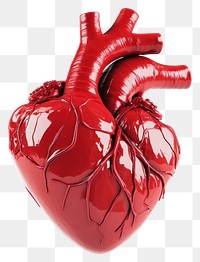 PNG Red Heart heart illustration anatomical.