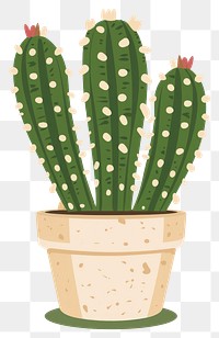 PNG Cactus plant illustration pot.