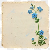 PNG Forget-Me-Nots flower flowers paper art.