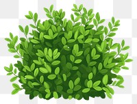 PNG Green bush illustration plant art.