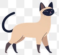 PNG Siamese cat siamese illustration animal.