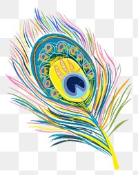 PNG Illustration peacock feather art.