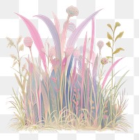 PNG Easter Grass colors plants grass.