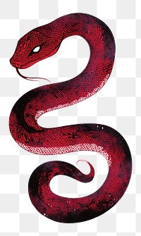 PNG Chinese snake illustration red artistic.