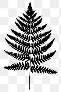 PNG Elegant fern silhouette illustration, transparent background