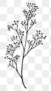 PNG Elegant botanical silhouette illustration, transparent background