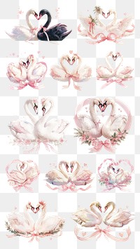 Romantic swan, PNG set on transparent background