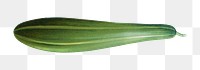 PNG Green zucchini vegetable illustration, transparent background. Remixed by rawpixel.