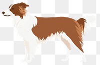 PNG Border Collie dog collie illustration animal.