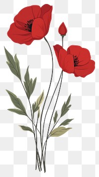 PNG Flowers bouquet illustration plant poppy.