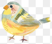 PNG Zebra Finch bird illustration design colors.