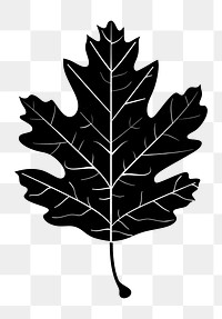 PNG Oak Leaf silhouette leaf illustration.