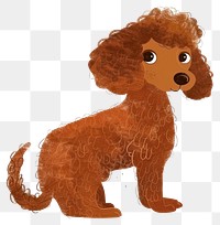 PNG Brown poodle dog illustration cartoon animal.