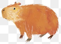 PNG Capybara illustration wildlife capybara.