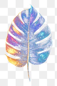 PNG Colorful tropical leaf shape light glitter nature colors night.