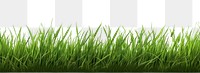 PNG Grass border image grass background green.