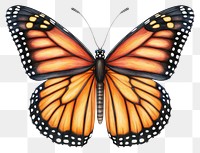 PNG Butterfly monarch illustration drawing.