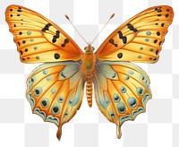 PNG Butterfly illustration drawing wings.