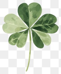 PNG Lucky clover leaf illustration plant green.