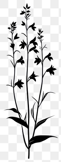 PNG Wild flower Beardtongue illustration silhouette minimalist.