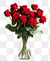 PNG Big bouquet of blossoming fresh red roses and with green leaves in a glass vase with water half vase flower arrangement beautiful.