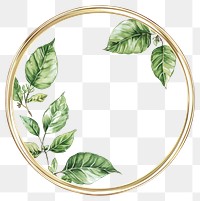 PNG Watercolor gold circle frame leaf illustration floral.