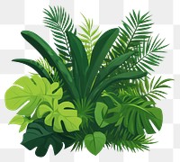 PNG Jungle foliage bush green illustration nature.