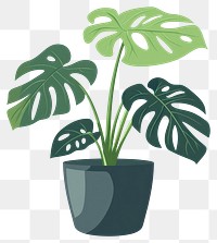 PNG Monstera potted plant illustration leaves leaf.