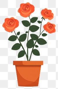 PNG Rose flower potted plant flowers illustration rose flowers.