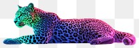 PNG Leopard Neon rim light wildlife animal illustration.