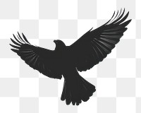 PNG Simple background blackbird design backlighting.