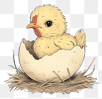 PNG Chicken hatching from an egg animal adorable poultry.