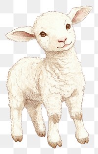 PNG Easter lamb illustration drawing animal.