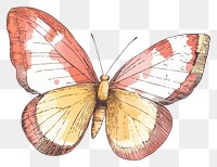 PNG Easter butterfly illustration drawing vintage.