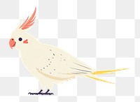 PNG Cockatiel bird illustration minimalist background.