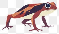 PNG Dart Frog frog illustration amphibian.