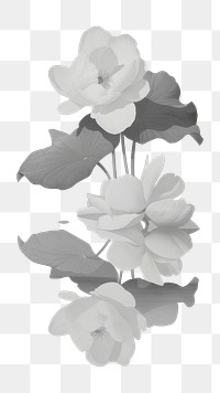 PNG Sad wallpaper flowers white art.