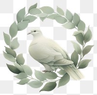 PNG Vintage frame dove illustration white.