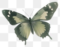 PNG Butterfly illustration insect art.